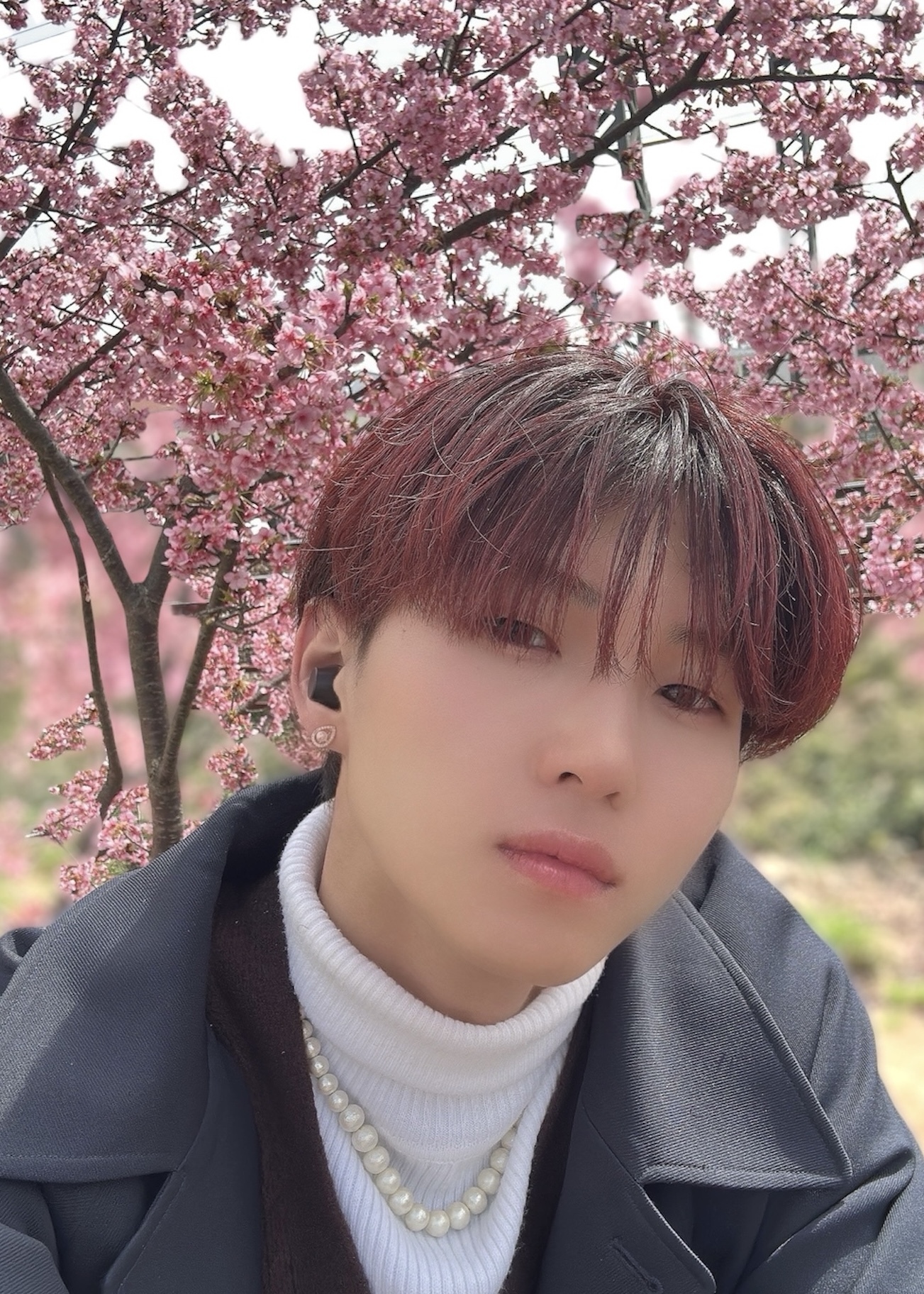 顔を上げて見てたSame day